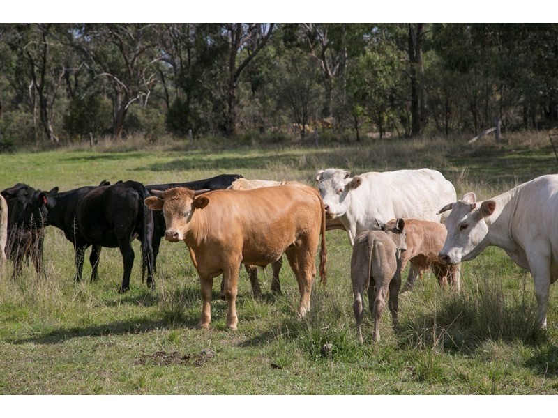 200 Collins Road, Stanthorpe QLD 4380