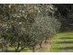 200 Collins Road, Stanthorpe QLD 4380