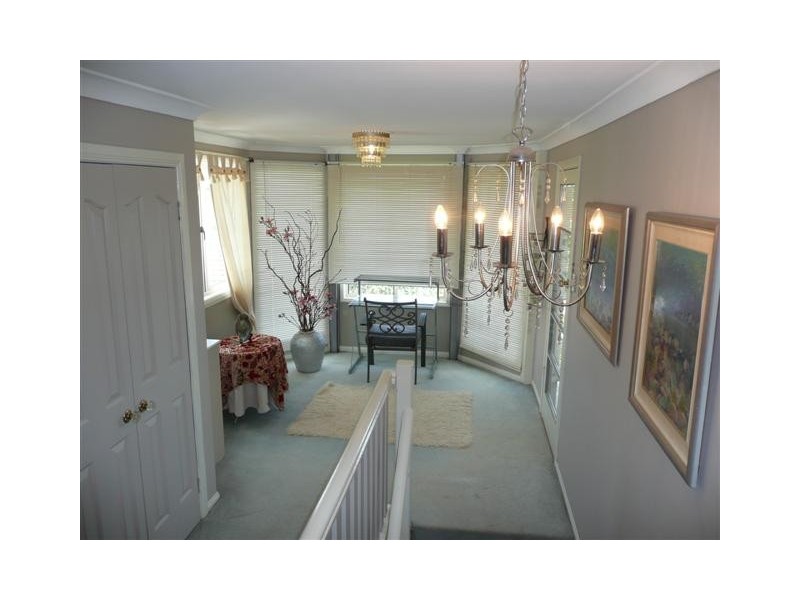 81 Greenmount Avenue, Holland Park QLD 4121