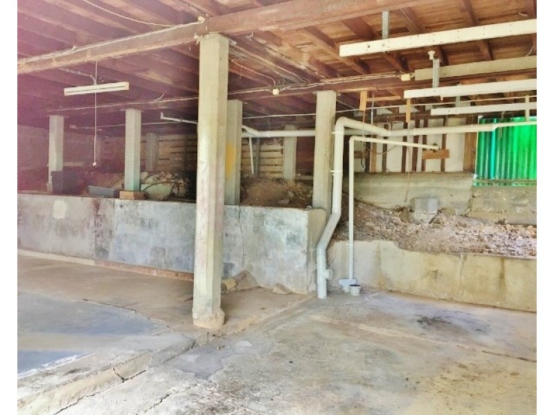 51 Moorbell Street, Tarragindi QLD 4121