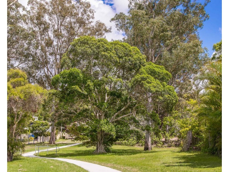 19 Inge Street, Mount Gravatt QLD 4122