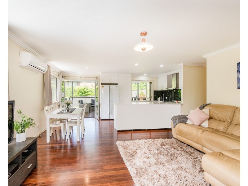 21 David Road, Holland Park QLD 4121