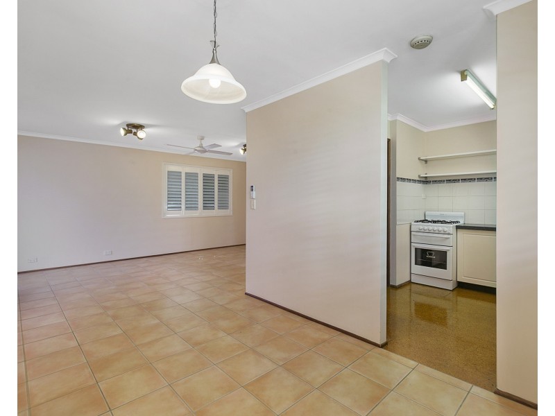44 Perkins Street, Upper Mount Gravatt QLD 4122