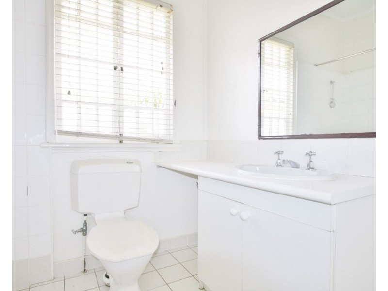 64 Pear Street, Greenslopes QLD 4120