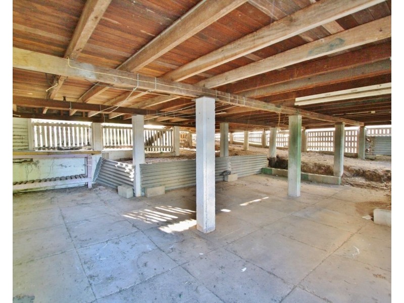 23 Springwood Street, Mount Gravatt East QLD 4122