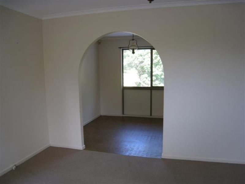 17 Glenlinton Street, Holland Park QLD 4121