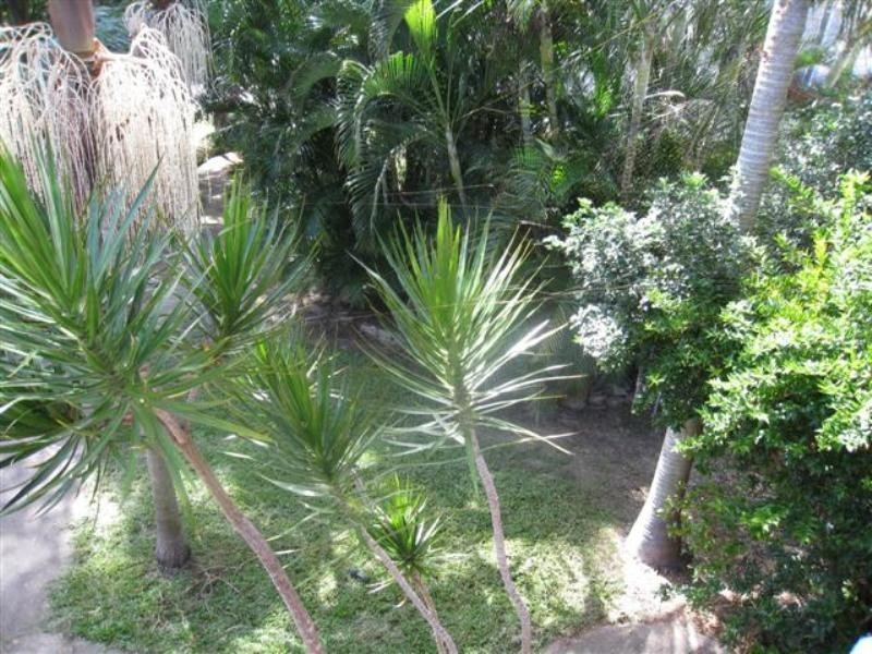 17 Glenlinton Street, Holland Park QLD 4121