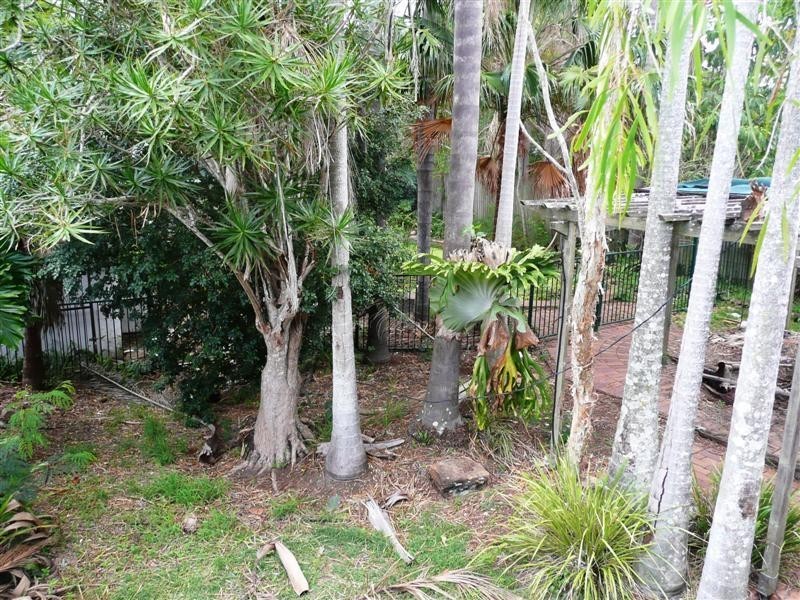 102 Galsworthy Street, Holland Park West QLD 4121