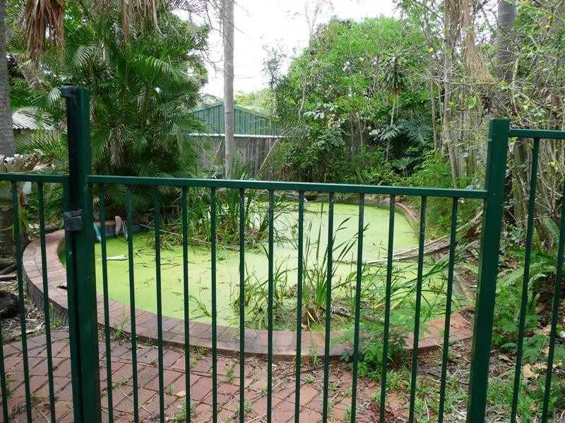 102 Galsworthy Street, Holland Park West QLD 4121