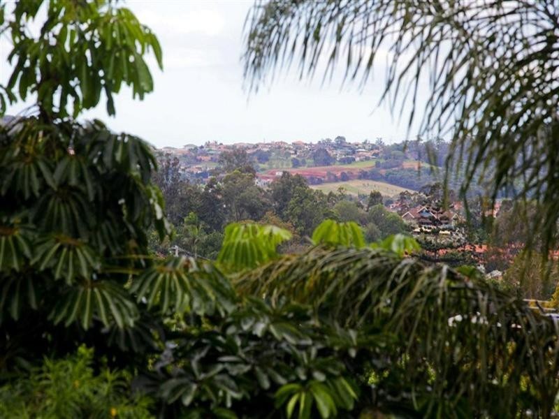 95 Hoff Street, Mount Gravatt East QLD 4122