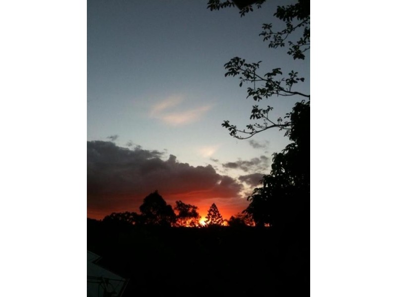 43 Boronia Avenue, Holland Park West QLD 4121