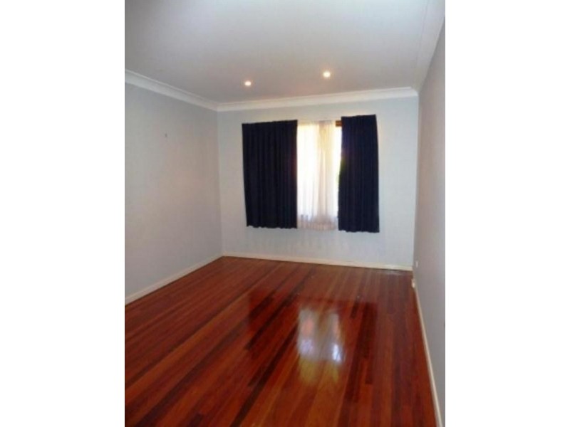 18 Kneale Street, Holland Park West QLD 4121
