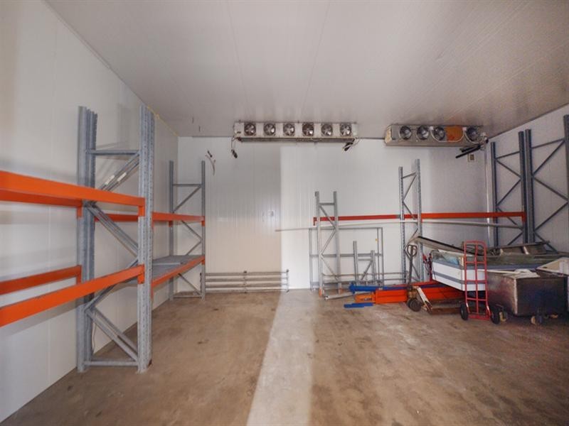 124 Eumundi Road, Noosaville QLD 4566