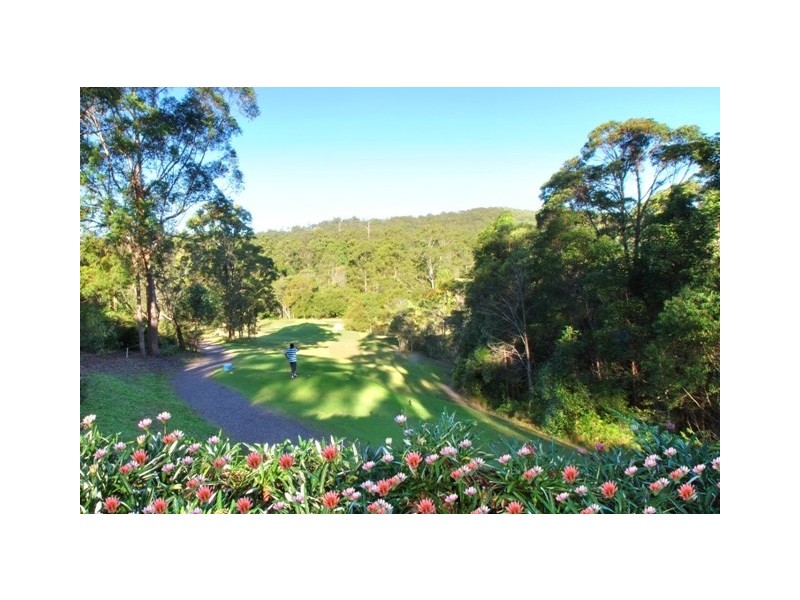 31 Palm Creek Road, Tanawha QLD 4556