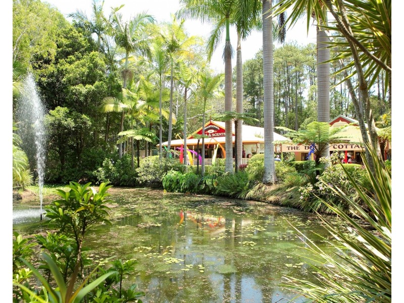 Shops D,EandF/50 Pioneer Road, Yandina QLD 4561