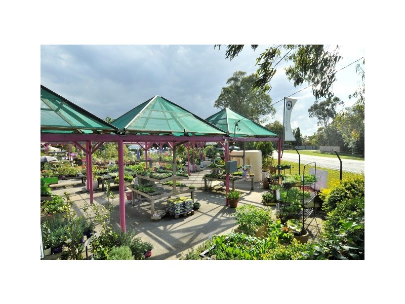 37 Gibson Road, Noosaville QLD 4566