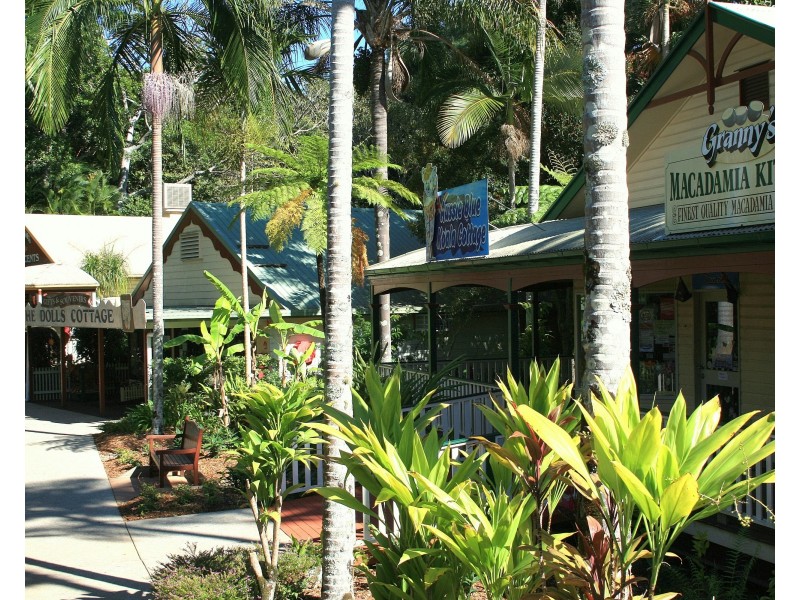 Shop D/50 Pioneer Road, Yandina QLD 4561