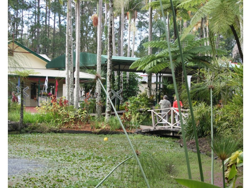 Shop D/50 Pioneer Road, Yandina QLD 4561