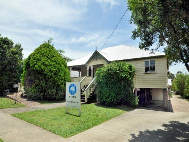 11a Garnet Street, Cooroy QLD 4563