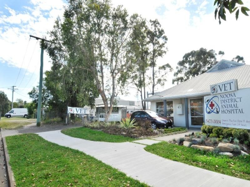 41 Rene Street, Noosaville QLD 4566