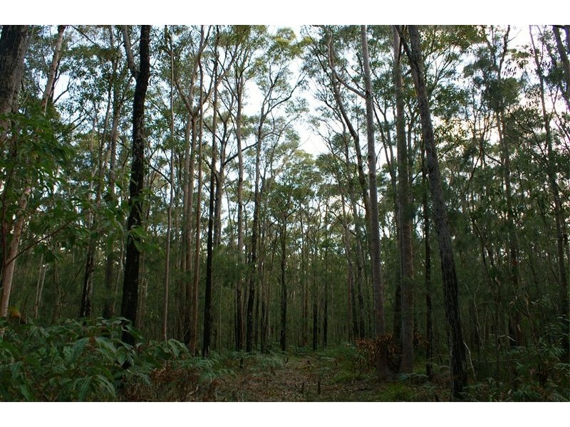 Ferodale NSW 2318