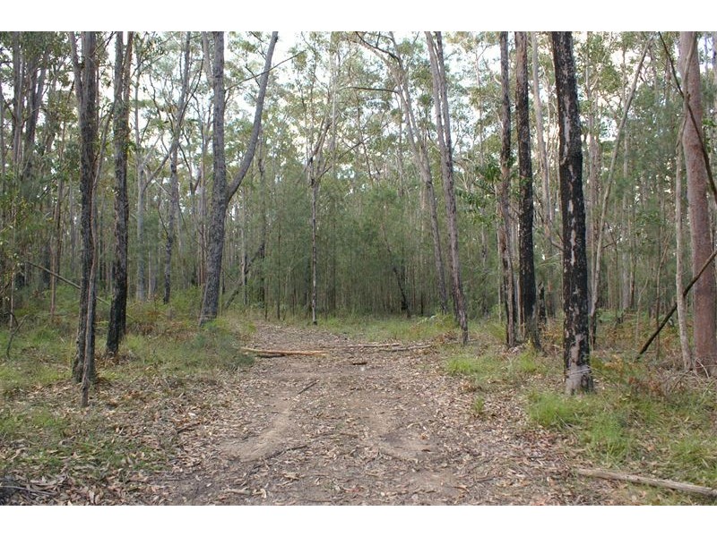 Ferodale NSW 2318