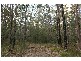 Ferodale NSW 2318