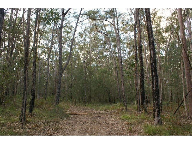 Ferodale NSW 2318