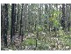 Ferodale NSW 2318