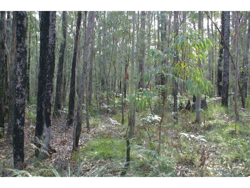 Ferodale NSW 2318