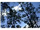 Ferodale NSW 2318