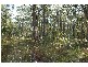 Ferodale NSW 2318