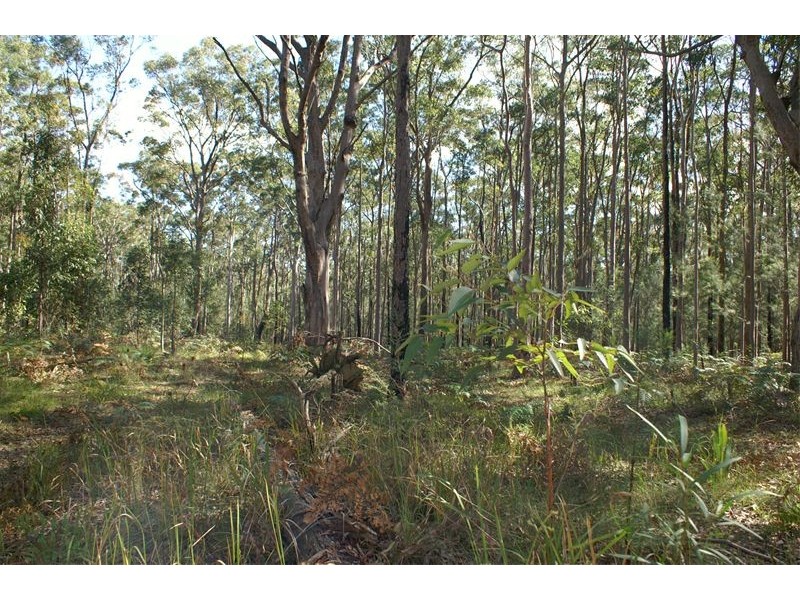 Ferodale NSW 2318