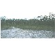 Ferodale NSW 2318