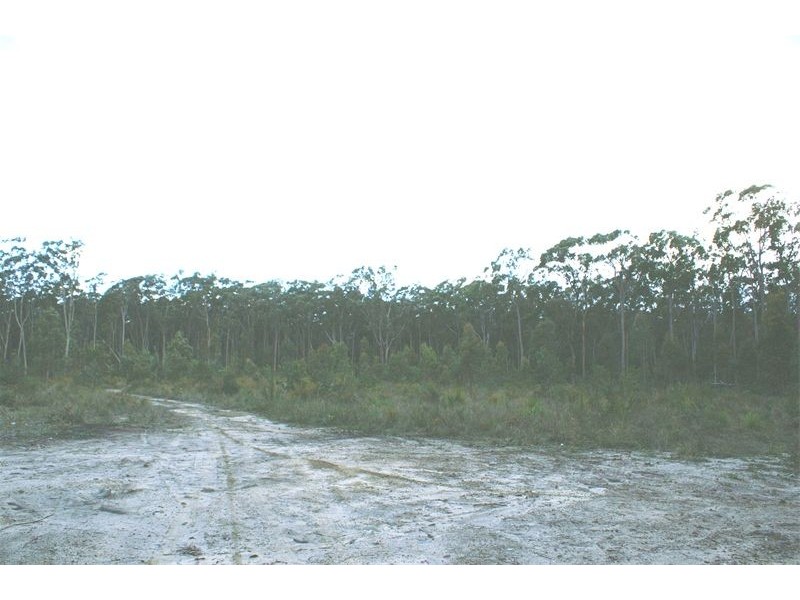 Ferodale NSW 2318