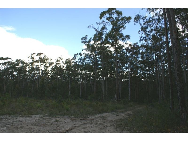 Ferodale NSW 2318