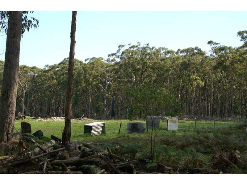 Ferodale NSW 2318