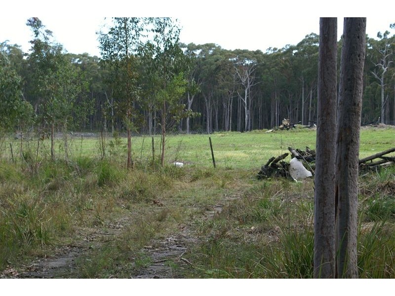 Ferodale NSW 2318