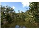 Ferodale NSW 2318