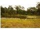 Clarence Town NSW 2321