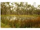 Clarence Town NSW 2321