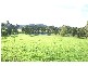 Glen William NSW 2321