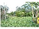 Glen William NSW 2321