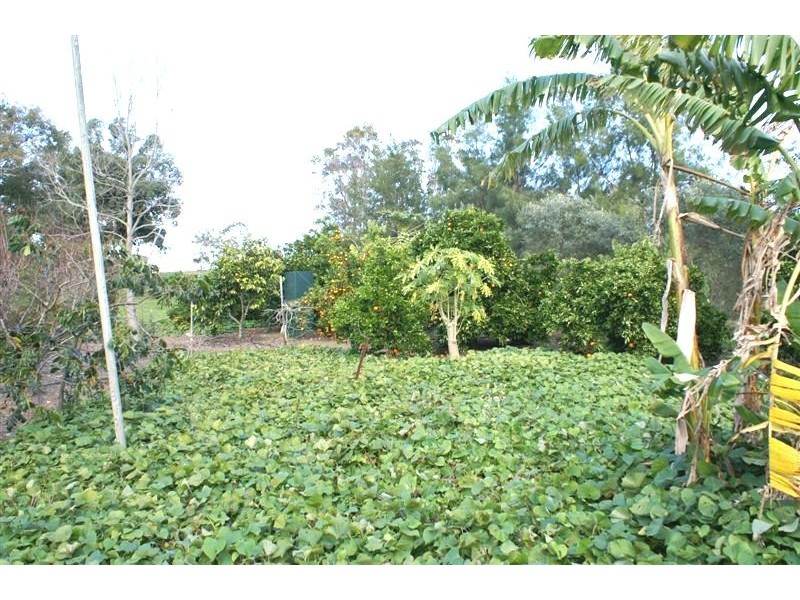 Glen William NSW 2321