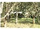 Glen William NSW 2321