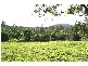 Glen William NSW 2321