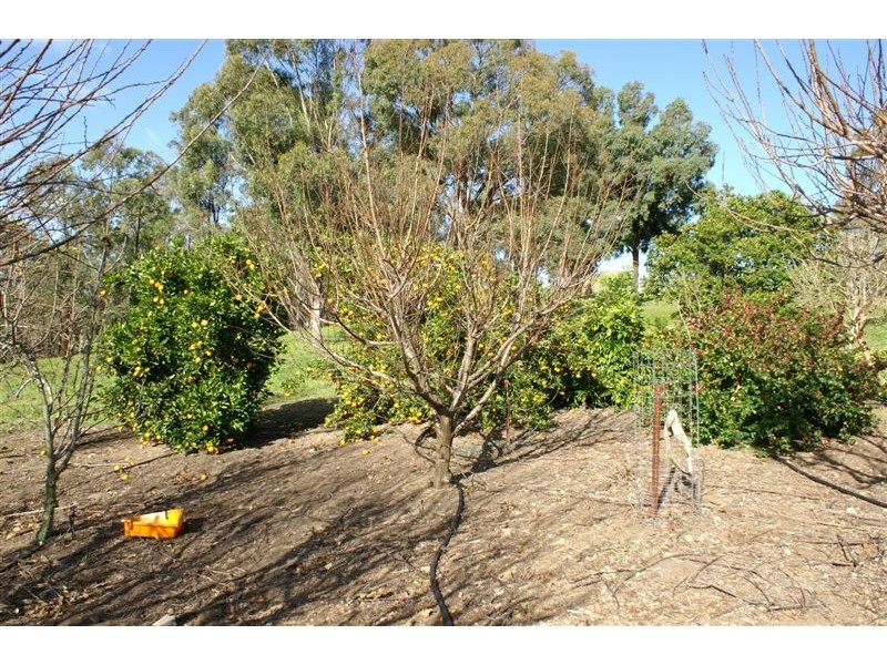 Glen William NSW 2321