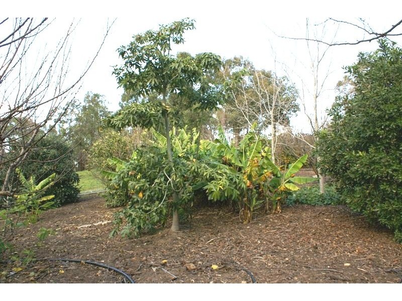 Glen William NSW 2321