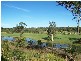 16 Sunningdale Circuit, Medowie NSW 2318