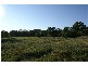 40 Lemon Tree Passage Road, Salt Ash NSW 2318